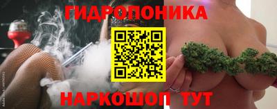 стаф Канаш