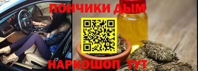 СК Кингисепп