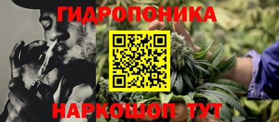 стаф Канаш